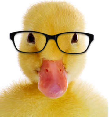 Keep Your Ducks in a Row Keep Your Ducks in a Row
